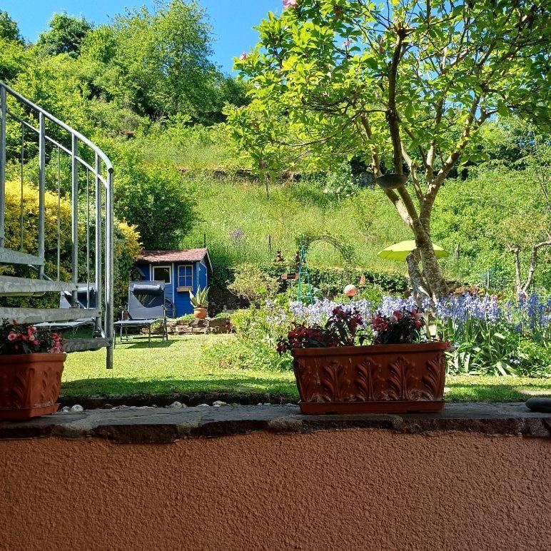 Ferienwohnung Haus Bleser Cochem Eksteriør bilde